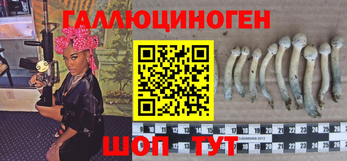 Галлюциногенные грибы GOLDEN TEACHER Шелехов